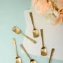 Sweet Dish Spoon